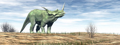 styracosaurus恐龙走的沙漠一天渲染styracosaurus恐龙的沙漠渲染