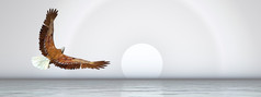 鹰飞行在的海洋灰色日落渲染鹰飞行在的海洋渲染
