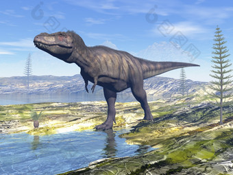 暴龙雷克斯霸王龙恐龙走的沙漠下一个水一天渲染暴龙雷克斯霸王龙恐龙的沙漠渲染