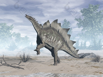 剑龙恐龙饲养的沙漠一天渲染剑龙恐龙的沙漠渲染