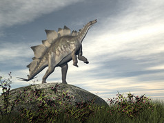 剑龙恐龙站和饲养岩石一天渲染剑龙恐龙岩石渲染