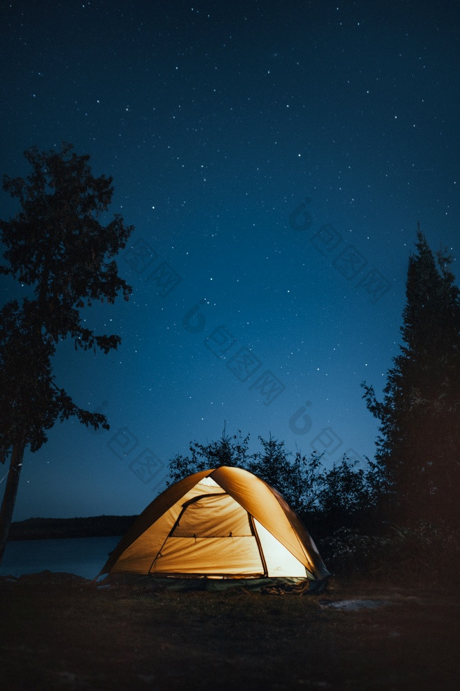 垂直拍摄野营帐篷附近树在夜间垂直拍摄野营帐篷附近树在夜间