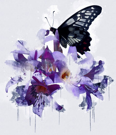 蓝色的蝴蝶紫罗兰色的紫色的花美丽的豪华的花画水彩风格艺术李子开花花插图摘要帆布绘画完整的浪漫婚礼装饰