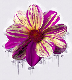 紫色的粉红色的黄色的花美丽的豪华的花画水彩风格艺术李子开花花插图摘要帆布绘画完整的浪漫婚礼装饰