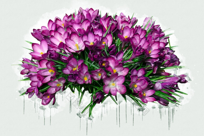 花束紫色的粉红色紫罗兰色的花美丽的豪华的花画水彩风格艺术李子开花花插图摘要帆布绘画完整的浪漫婚礼装饰