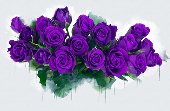 粉红色的紫色的紫罗兰色的与绿色叶子玫瑰花束美丽的豪华的<strong>花画</strong>水彩风格艺术李子开花花插图摘要帆布绘画完整的浪漫使用为婚礼装饰