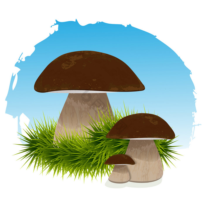 蘑菇草下的向量插图蘑菇草下的图片