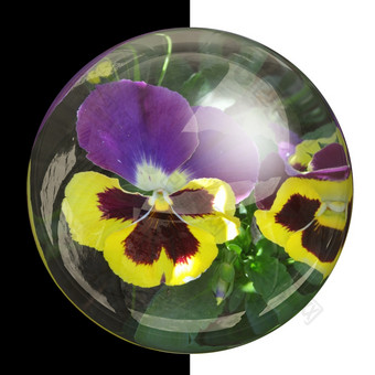 glossyround按钮与使<strong>铭记</strong>于心真正的色彩斑斓的花光滑的轮按钮与真正的花