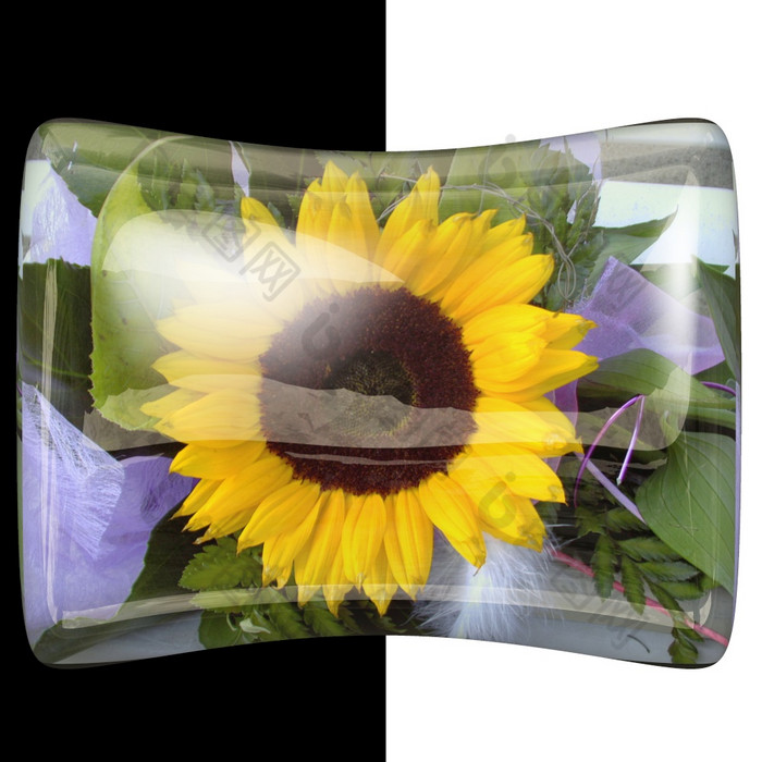 光滑的枕头按钮与使铭记于心真正的色彩斑斓的花光滑的枕头按钮与真正的花