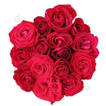 美丽的明亮的红色的玫瑰花束孤立的白色背景前视图红色的玫瑰花束孤立的白色背景