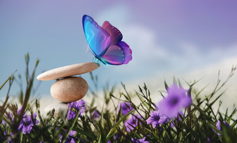 和谐生活概念超现实主义蝴蝶的卵石石头堆栈花园比喻平衡自然和技术平静心生活放松和生活自然