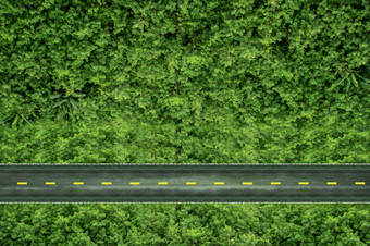 环境、社会和治理零碳发射和环境哪概念前视图路绿色季节环境和业务增长在一起可持续发展的资源
