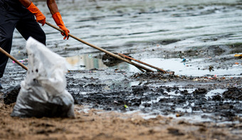 志愿者使用的耙扫描的垃圾出的海海滩更清洁的收集垃圾的海海滩透明的塑料袋志愿者清洁的海滩整理垃圾海滩