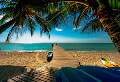 美丽的视图热带天堂海滩度假胜地椰子树木桥和皮艇度假胜地阳光明媚的一天夏天假期概念夏天共鸣金沙子海滩度假胜地与蓝色的天空