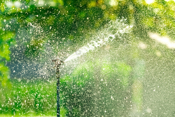 自动草坪上喷水灭火系统浇水绿色草喷水灭火系统与自动系统花园灌溉系统浇水草坪上水储蓄水保护从喷水灭火系统系统与可调头