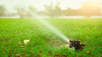 自动草坪上喷水灭火系统浇水绿色草花园院子里灌溉系统浇水草坪上水储蓄保护从喷水灭火系统系统的地盘农场业务喷水灭火系统服务和维护