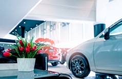 假的红色的花陶瓷白色花瓶玻璃表格车展厅车经销商人工花模糊新和闪亮的奢侈品车停现代展厅为出售展厅室内