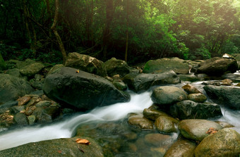美丽的瀑布丛林瀑布热带森林与绿色树和阳光瀑布流动丛林自然背景岩石石头瀑布绿色季节旅行泰国