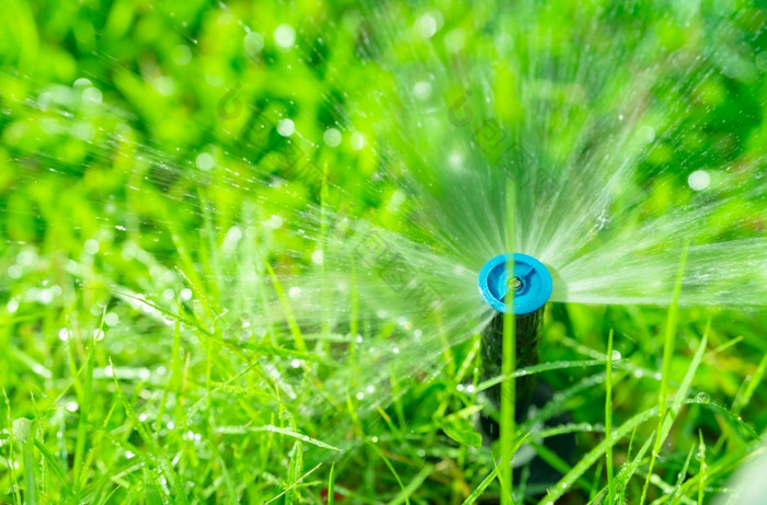 自动草坪上喷水灭火系统浇水绿色草喷水灭火系统与自动系统花园灌溉系统浇水草坪上水储蓄水保护从喷水灭火系统系统与可调头