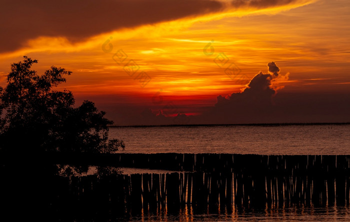 美丽的红色的和橙色日落天空在的热带海红色的日落天空天际线的海热带海风景优美的视图日落天空平静海洋海景艺术图片云层日落天空