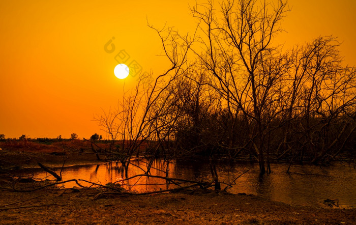 死树湖和橙色日落天空背景气候改变和干旱土地水危机干旱气候环境问题自然灾难自然Lanscape水危机的地球