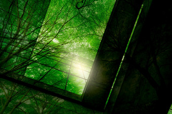 环保建筑的现代城市绿色树分支机构与叶子和可持续发展的玻璃建筑为减少热和碳二氧化物办公室建筑与绿色环境绿色概念