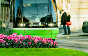 粉红色的花花园交通岛模糊城市有轨电车运行缆车跟踪公共城市街和人<strong>现代运输</strong>欧洲电车辆绿色<strong>运输</strong>可持续发展的旅行