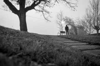 模糊照片男人。公园独自一人与空板凳上和无叶的树回来视图孤独的男人。的黑色的和白色场景焦虑男人。伤心担心和抑郁抑郁男人。冷天气