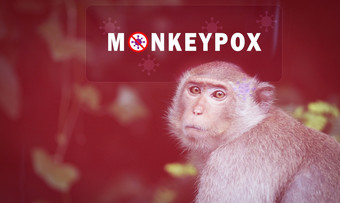猴痘爆发概念猴痘<strong>引起</strong>的猴痘病毒猴痘病毒人畜共患疾病病毒传播人类从动物猴子五月港的病毒和感染人