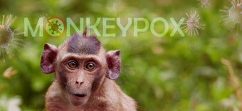 猴痘爆发概念猴痘引起的猴痘病毒猴痘病毒人畜共患疾病病毒传播人类从动物猴子五月港的病毒和感染人