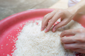 女人手持有大米塑料托盘未煮过的磨碎的白色大米大米价格世界市场世界收益率为大米概念天课和慈善机构全球食物危机概念有机麦片粮食