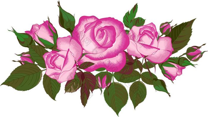 向量集花束粉红色的玫瑰最好的为问候卡邀请为婚礼生日和假期夏天背景
