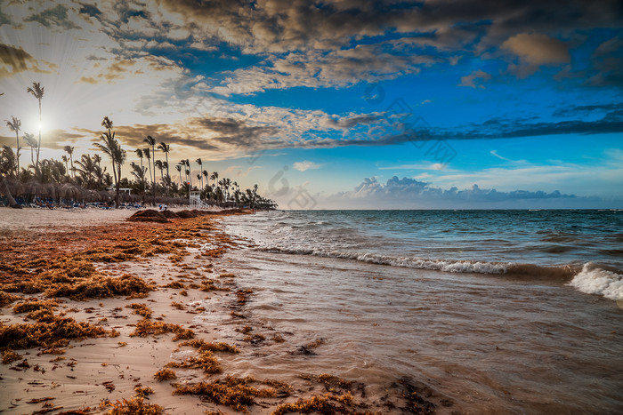 景观天堂热带岛海滩日落拍摄对的太阳令人惊异的日落光高峰卡纳海滩与休息室椅子雨伞和手掌日落在的海滩加勒比海假期美丽的日落在热带海滩高峰卡纳