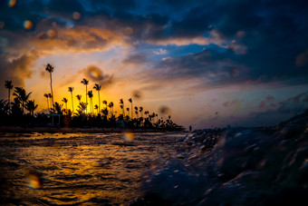 轮廓棕榈树的菲昂美丽的多色的日落橙色日落热带岛的海洋日落的海滩加勒比海多米尼加共和国轮廓棕榈树的菲昂美丽的多色的日落