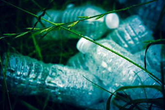 生态概念塑料瓶的绿色草的问题生态环境污染保护自然生态概念塑料瓶的绿色草的问题生态