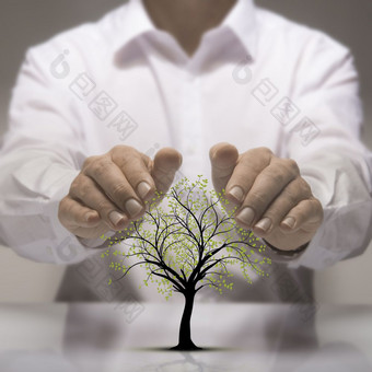 两个手以上树画环境保护概念环境保护