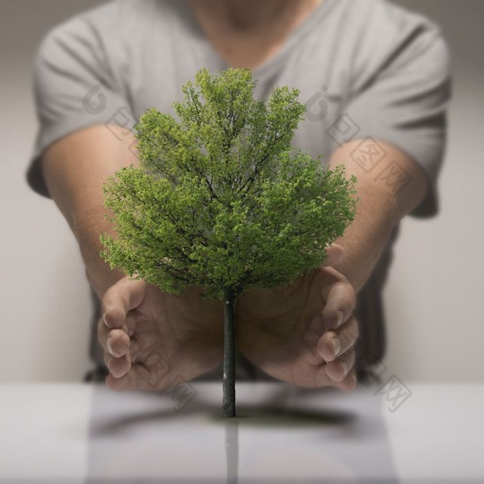 两个手周围小树象征生态环境保护生态保护自然