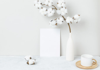 首页室内花装饰棉花花表格前面视图空白纸卡片问候卡模型美丽的白色棉花花花瓶白色背景