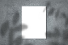 白色纸模型显示混凝土墙与现实的阴影覆盖叶子米色背景横幅为促销活动市场营销背景为审美有创意的设计