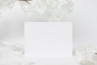 问候卡模拟装饰与白色花前面视图空<strong>白纸</strong>卡木板和白色背景