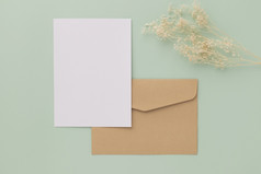 空白问候卡邀请模型棕色（的）信封与干花柔和的绿色背景平躺模型