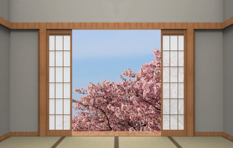日本滑动门与美丽的景观完整的盛开的日本樱桃开花樱花树春天季节
