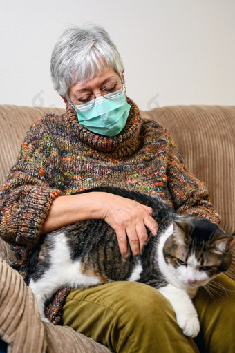冠状病毒社会距离由于流感大流行爆发上了年纪的女人与保护脸面具住首页抚摸她的猫冠状病毒社会距离由于流感大流行爆发上了年纪的女人与保护脸面具住首页抚摸她的猫