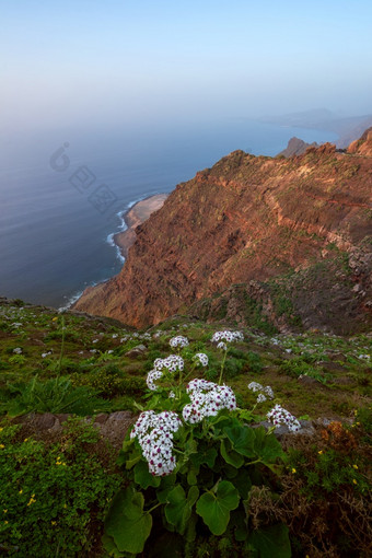 风景优美的火<strong>山</strong>海岸<strong>线</strong>景观悬崖tamadaba自然公园大<strong>金</strong>丝雀岛西班牙风景优美的火<strong>山</strong>海岸<strong>线</strong>景观悬崖tamadaba自然公园大<strong>金</strong>丝雀岛西班牙