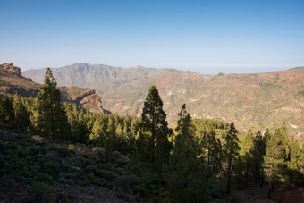 风景优美的山地由于景观大金丝雀金丝雀岛屿西班牙风景优美的山地由于景观大金丝雀金丝雀岛屿西班牙