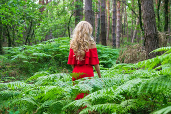 回来视图美丽的金发女郎女孩别致的红色的衣服触碰<strong>蕨类植物</strong>的仙女森林大气神奇的高质量照片回来视图美丽的金发女郎女孩别致的红色的衣服触碰<strong>蕨类植物</strong>的仙女森林大气神奇的