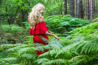回来视图美丽的金发女郎女孩别致的红色的衣服触碰<strong>蕨类植物</strong>的仙女森林大气神奇的高质量照片回来视图美丽的金发女郎女孩别致的红色的衣服触碰<strong>蕨类植物</strong>的仙女森林大气神奇的
