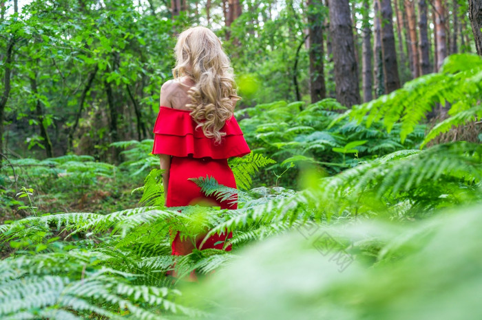 回来视图美丽的金发女郎女孩别致的红色的衣服的仙女森林大气神奇的高质量照片回来视图美丽的金发女郎女孩别致的红色的衣服的仙女森林大气神奇的