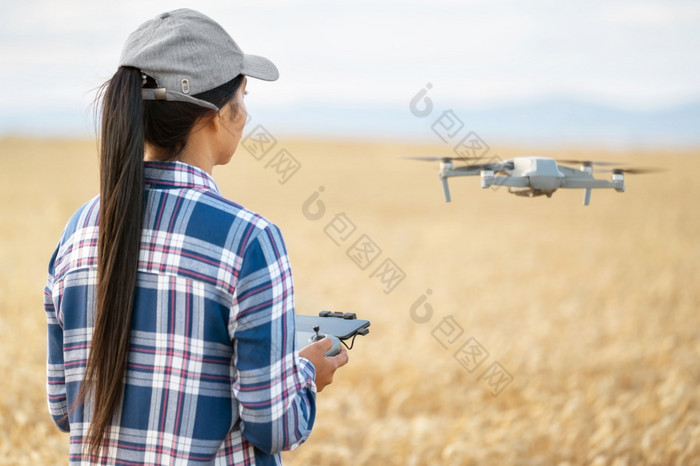 女农民飞行无人机在小麦场使用控制器检查生产力与现代技术高质量照片女农民飞行无人机在小麦场使用控制器检查生产力与现代技术