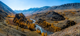 全景的阿尔泰山河流动之间的的阿尔泰山和的自然的区域全景阿尔泰山河流动之间的的阿尔泰山和的自然的区域